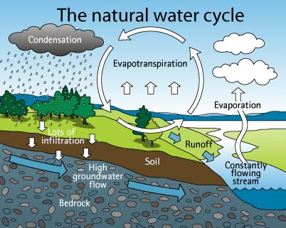 Hydrologic Cycle: Dynamic