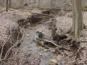 costs of treating drinking water supplies Stream impacts Increase stormwater volume