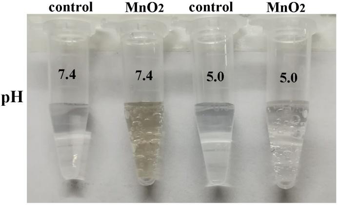 Supplementary Figure 8. The O 2 generation ability of MnO 2 in different ph vaules.
