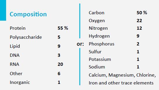 dinitrogen gas, Carbon dioxide and water.