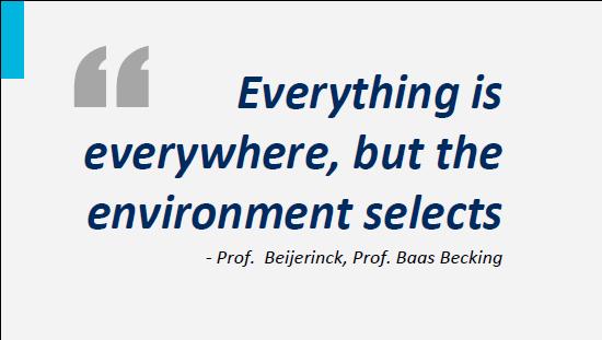 These famous words come from professor Baas Becking, inspired by professor Beijerinck, founder of the Delft school of microbiology.