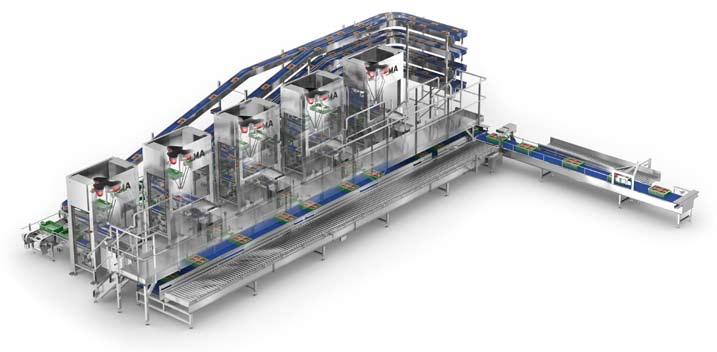 Automation of packaging lines ULMA Packaging Automation A sole interlocutor for the client.