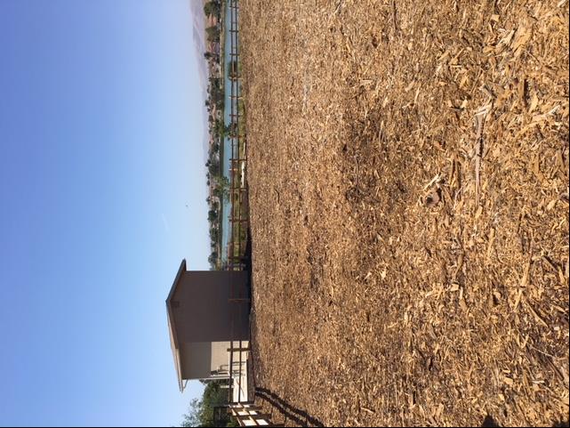 Woodchip Bioreactors Trenches filled with woodchips built to allow water to flow through for treatment purposes Woodchips = carbon source for
