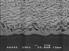 5 SEM photographs of the interface between the solder and Ni-P plating after aging for 18 h at 423 K. 1 µ m Fig.