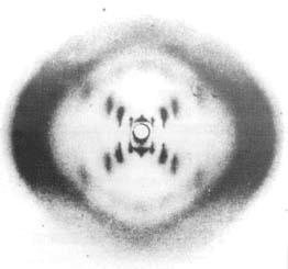 Nucleotide Chain: Figure 5: X-Ray Diffraction This technique was used to take photographs of molecules like DNA.