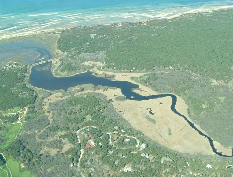 An important study site is the Herring River, Cape Cod National Seashore: ~1000 acres of tidally restricted wetland, that is proposed for restoration, and