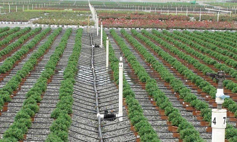 Measures Taken In just the past few years, drip irrigation systems have been built and put into operation on more than 10,000 ha.