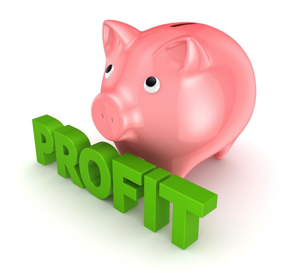 Profit & Loss Report Revenue Cost of Goods Sold Gross Profit Operating Expenses Net Operating
