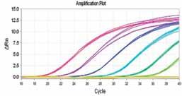 1PCR PRODUCTS Real Time PCR Premix Ex Taq (Probe qpcr) Premix Ex Taq (Probe qpcr) Cat.# RR390A 200 reactions ( 50 µl PCR) Premix Ex Taq (Probe qpcr) Cat.