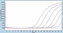 # RR390W 1000 reactions ( 50 µl PCR) (L size x 5) Real Time PCR (qpcr) Quantitation of DNA using Probe Detection Features Rapid and Accurate Detection and Quantitative Gene Expression Analysis: using
