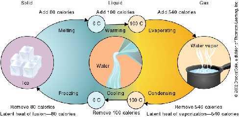 Global Thermostatic Effects of Water Thermostatic Properties of Water Water absorbs the Sun s energy without great temperature changes Ocean s