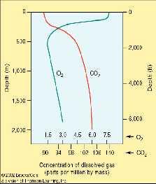 Seawater Dissolved Gasses Major Gases in Seawater and Air Sources of Gases Entering the Ocean 1.