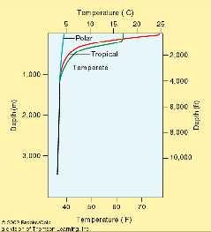 salinity Seawater tends to form stable density layers Coldest saltiest at the bottom Warmest, least