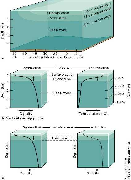 Density Structure of the Ocean Ocean divided into three horizontal density layers or zones Surface Zone Warmest, least dense Typically extends down to 150 meters Makes up only 2% of ocean Pycnocline