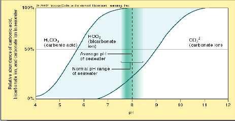 Seawater Acid-Base Balance Ocean ph average is 8