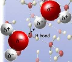 bonds Positively charged hydrogen atoms of one water molecule
