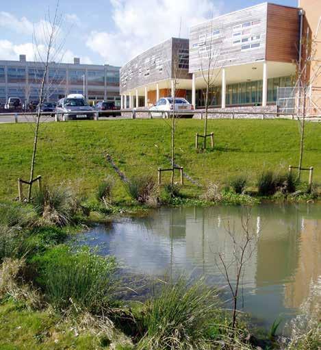 Apart from the wildlife ponds themselves, no other SuDS techniques were used on the lower part of the site in addition to the permeable pavements for pollutant removal.