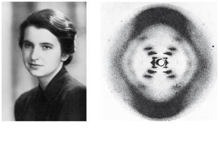 Figure 16.6 Rosalind Franklin and her X-ray diffraction photo of DN (a) Rosalind Franklin (b) Franklin s X-ray diffraction photograph of DN Building a Structural Model of DN, cont.
