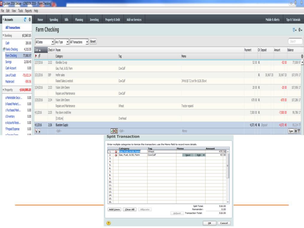 This slide shows the check register in Quicken. Accounts are listed at the left.
