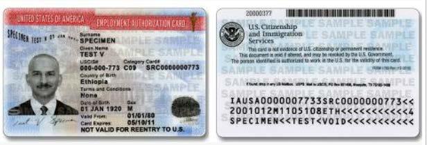 SECTION 2: EMPLOYER REVIEW AND VERIFICATION, FOR NONIMMIGRANT ALIEN OPTION 1: Employment Authorization Document (EAD