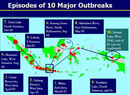 Emergency Disease Investigation Koi herpesvirus in Indonesia