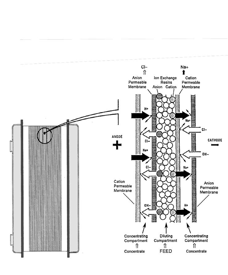 Electropure EDI Technology Overview Figure 1: Schematic Diagram of the Electropure EDI Process