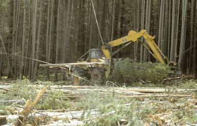 Placed to provide reasonable skidding distances for the intended harvesting system Located and constructed in a manner that prevents damage to streams or other sensitive areas USDA Forest service/