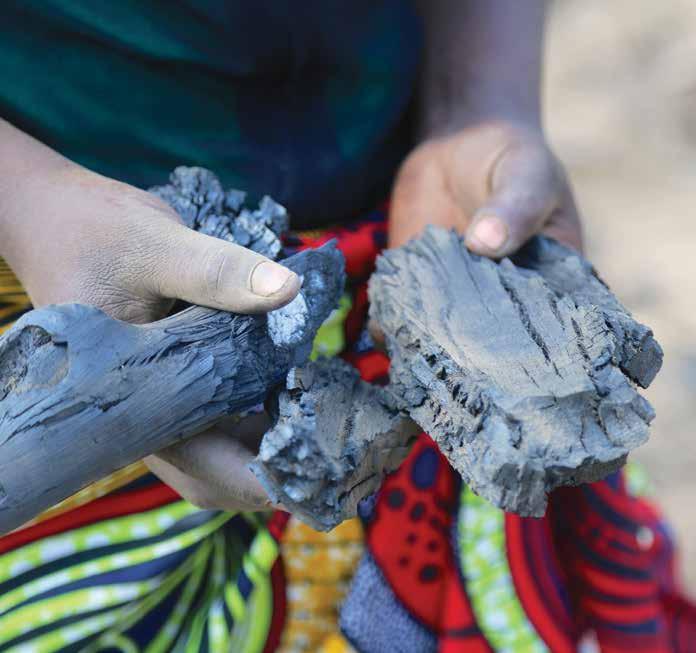 THE CHARCOAL TRANSITION Greening the charcoal value chain to