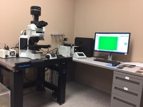 Olympus BX63 Fluorescence Microscope This microscope produces fluorescence images with bright colors and dark backgrounds to analyze pigment dispersion in coatings.