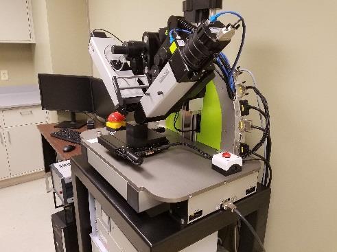 Accurion EP4 Imaging Ellipsometer The ellipsometer offers high contrast images of the sample, ellipsometry with lateral resolution as small as one