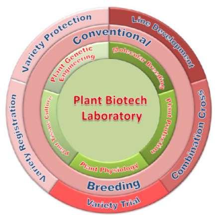 BISI as a Science Based Company State of Art : Combination between Conventional Breeding & Biotechnology Advantages: More accurate/ precise Faster Higher capacity Research Collaboration Research