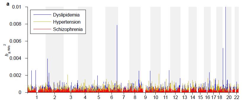 BOLT-REML allows estimation of SNPheritability explained per megabase h g,1mb Chromosome Details of BOLT-REML