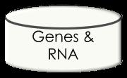 GenomeNext Genetic Knowledgebase This solution provides an optimized list of