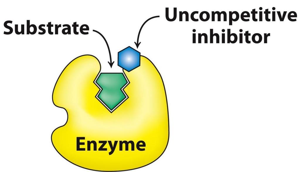 the enzymesubstrate complex