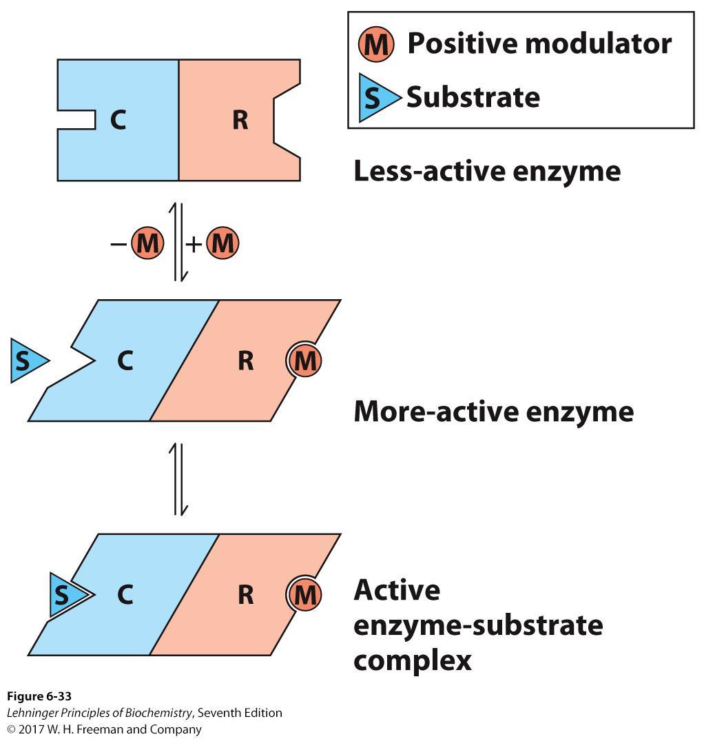 Allosteric Regulators Allosteric effectors or modulators are generally small chemicals.