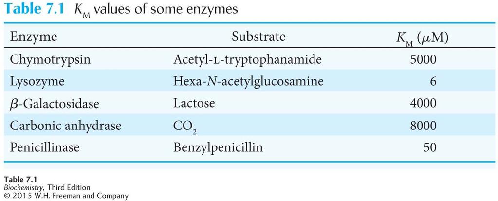 K M values for enzymes vary widely and evidence suggests that the K M