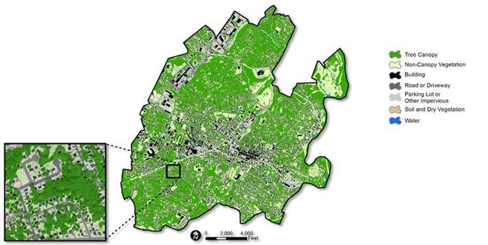 CITYWIDE TREE AND LAND COVER RESULTS Study