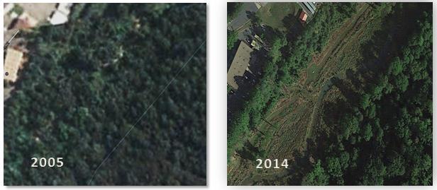 new trees aren t large enough for remote sensing at this time Will have a big impact on canopy in future assessments Urban Tree Canopy Results (2005-2014) Using the Point Sampling Technique Results