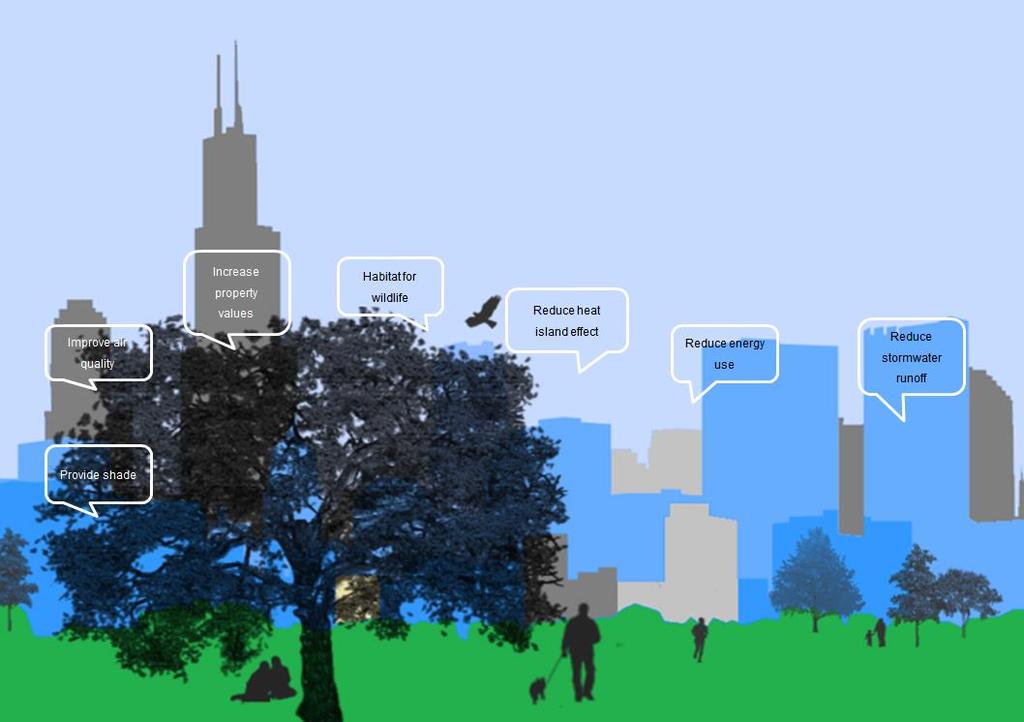 BENEFITS OF URBAN TREES REDUCE Stormwater Runoff Energy Consumption Air Pollutants Crime INCREASE / IMPROVE