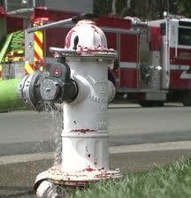 Why should we flow test hydrants?
