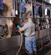 6 Dairy Equipment Automatic milker takeoff Automatic milker takeoff... $5 per cow* Note: For existing dairy operations only. New construction does not qualify.