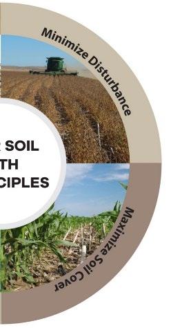 Soil Health Principles Minimize disturbance & Keep the soil covered * Maintain stable aggregates * Reduce erosion * Buffer temperature & moisture