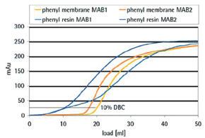 Fig. 3: Lysozyme bound per cm² phenyl membrane as a dependence on type of salt and salt concentration 1.3 Results The results do not necessarily reflect the maximum binding capacity.