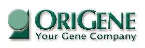 MicroRNA Expression Plasmids Application Guide Table of Contents Package Contents and Related Products... 2 Related, Optional Reagents... 2 Related OriGene Products... 2 Cloning vector:.