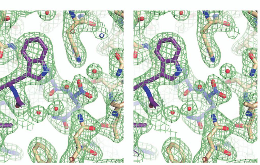 Fig. S2. Stereoview of the PCSK9:Fab1 interface with 2F o -F c electron density contoured at 1.5.