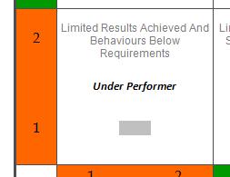Rating: Under Performer Position: Amber objectives, Amber behaviours Definition: Limited results achieved and behaviours below requirements This individual is performing below the levels required,