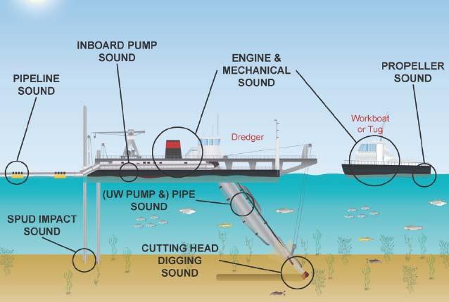 Underwater Sound Focus area: dredging and mining equipment-operation Activities: 1. Following trends and developments on legislation 2.