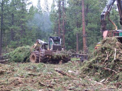 Next Steps EESI sees woody biomass as an important energy resource and economic opportunity for Tribal communities.
