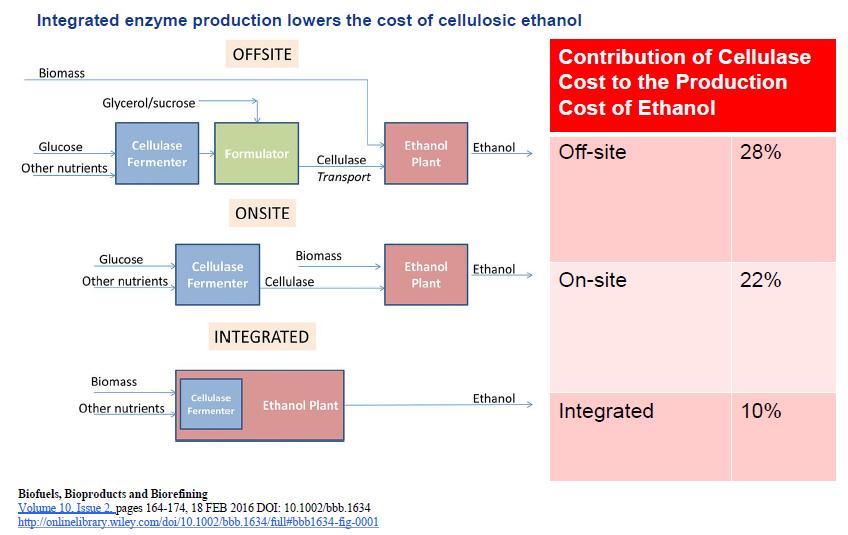 Enzyme Cost