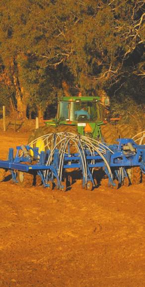 COULTERS Many farmers find coulters are a very useful addition to help cut through trash and prevent